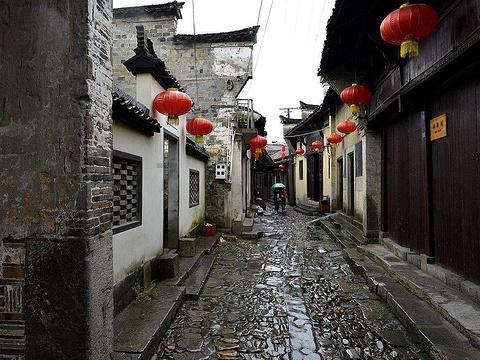 陈哲远、邓为、于适、张凌赫：“顶流预备役”谁更胜一筹？